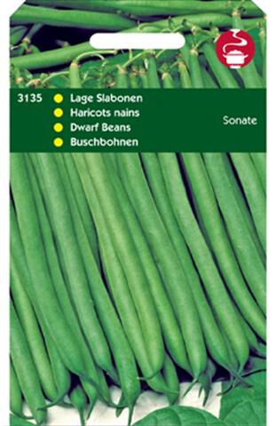 Hortitops Stamslabonen Phaseolus vulgaris Sonate - Groentezaden Hortitops Stamslabonen Phaseolus vulgaris Sonate - Groentezaden