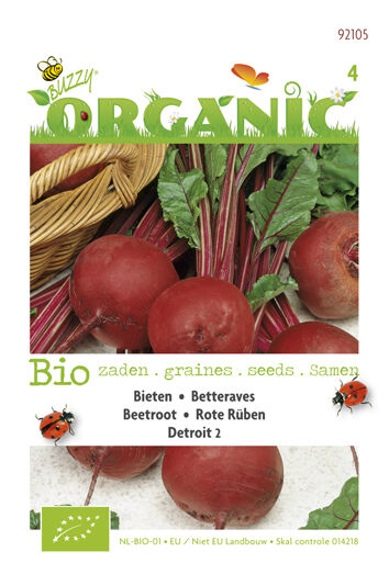 Buzzy Bieten Beta vulgaris Detroit - Bieten Buzzy Bieten Beta vulgaris Detroit - Bieten