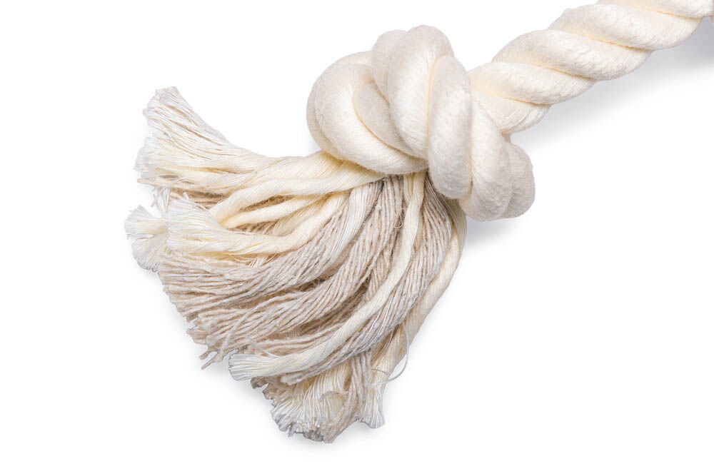 Beeztees Steak met flostouw - Hondenspeelgoed - Rood - 7x13x28 cm