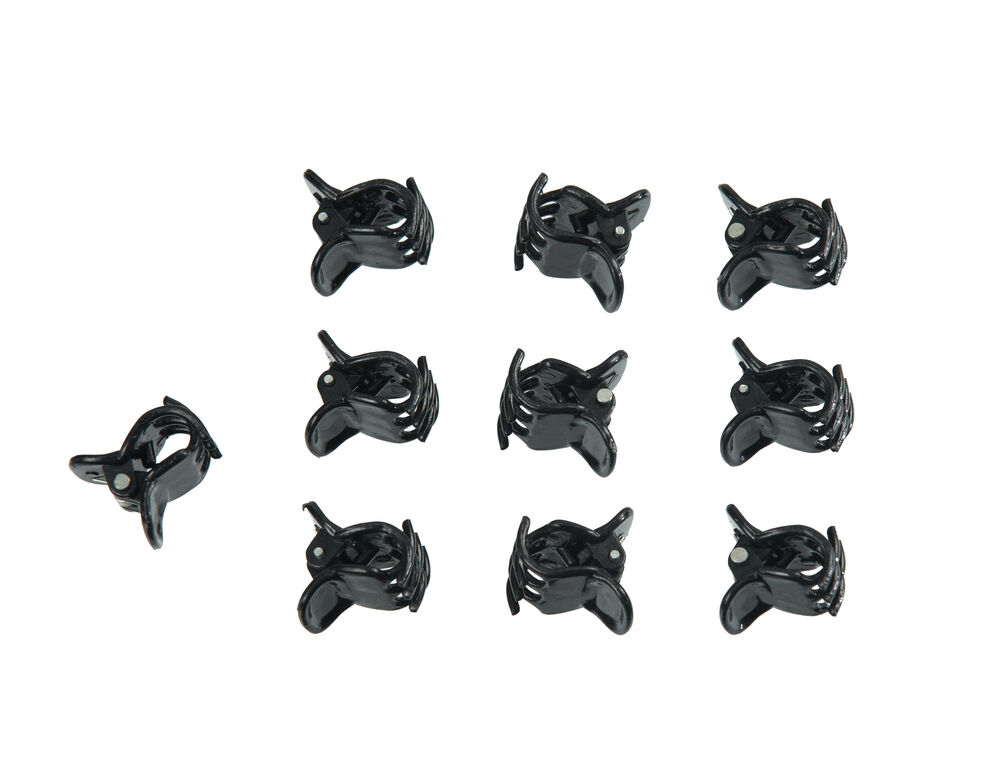 Nature - Orchidee clips Nature - Orchidee clips