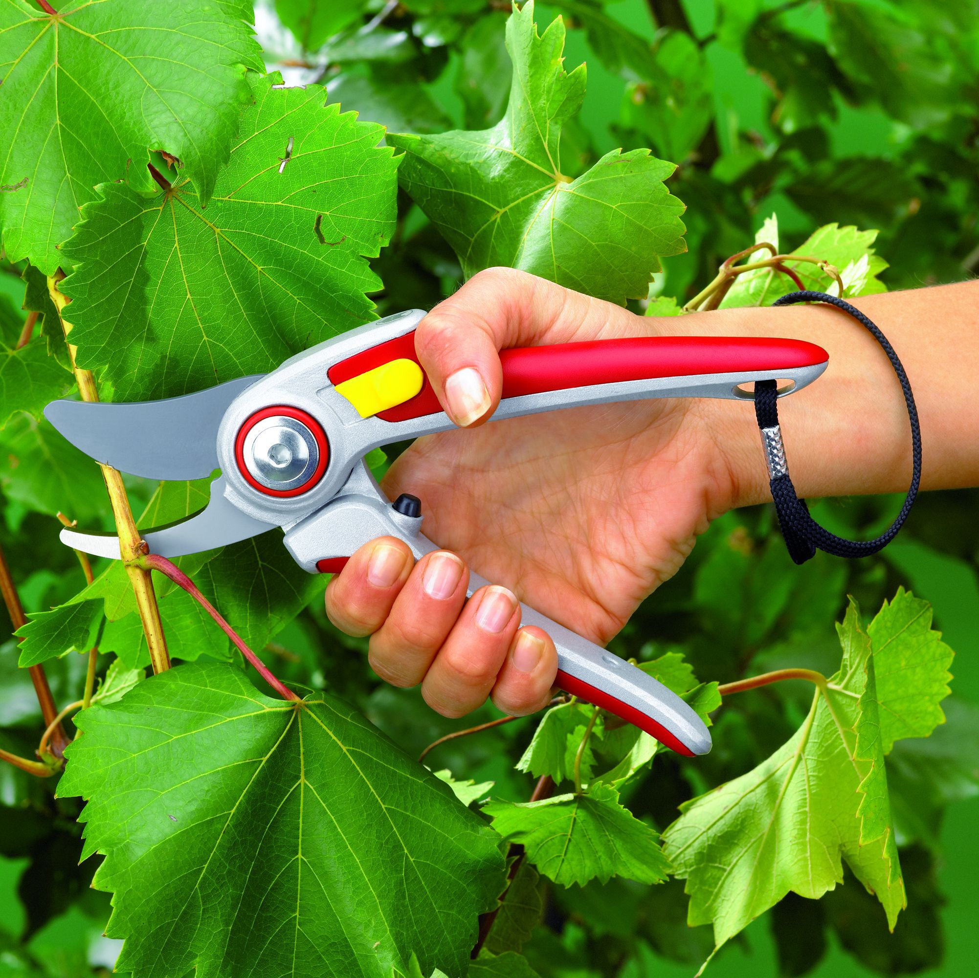 WOLF-Garten RR 5000 - Snoeischaar