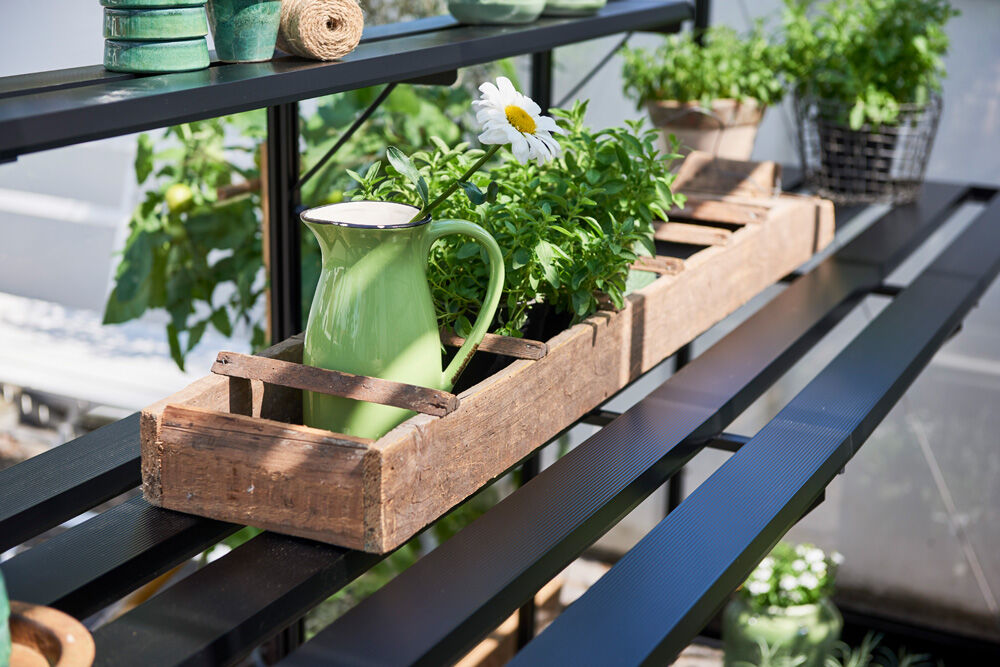 HALLS Qube 812 - Kweektafel - Zwart - 2.5x60x377 cm