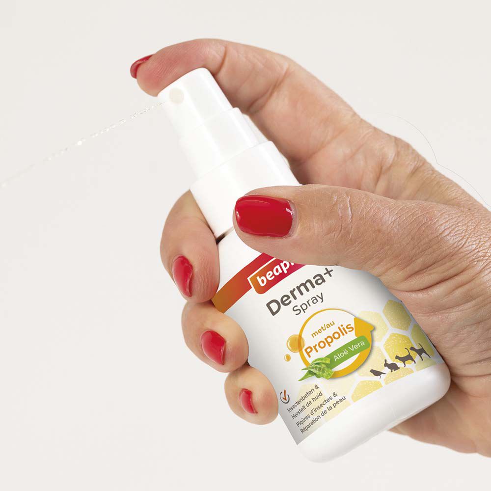 Beaphar Derma+ spray - Wondverzorging Hond - 75