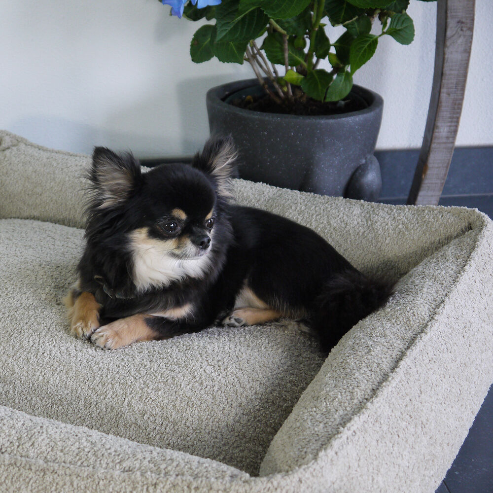 Happy-House Velvet Orthopedisch - Hondenmand - beige - 12x55x55 cm - S