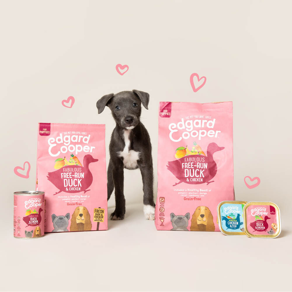 Edgard & Cooper Puppy - Hondenvoer - 400 - kip, eend