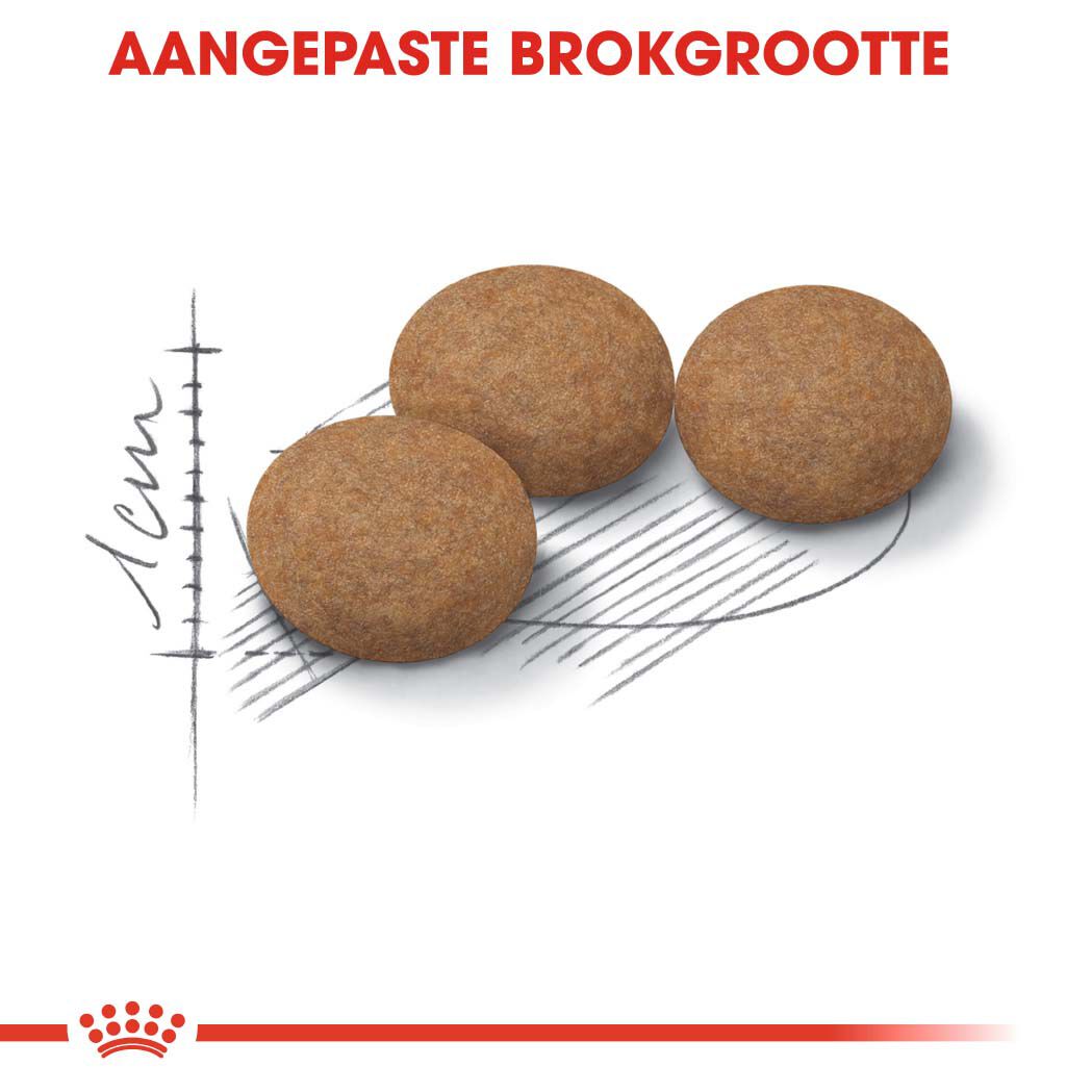 Royal Canin Ageing Sterilised 12+ - Kattenvoer - 2 - Gevogelte