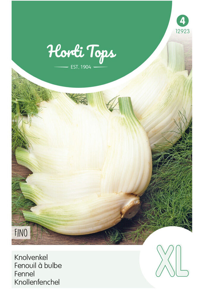 Hortitops Venkel Foeniculum vulgare Fino  (Zefa) - Overige groenteplanten Hortitops Venkel Foeniculum vulgare Fino  (Zefa) - Overige groenteplanten