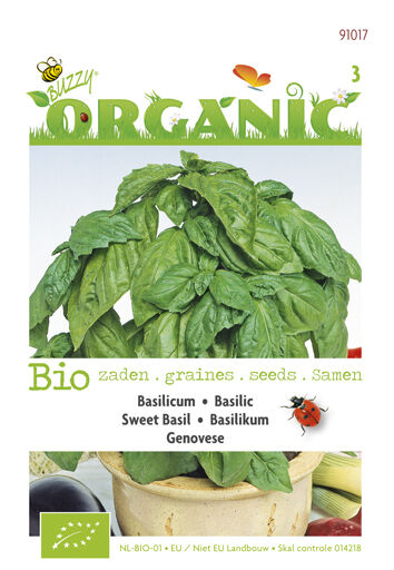 Buzzy Basilicum Ocimum basilicum Genovese - Kruidenzaden Buzzy Basilicum Ocimum basilicum Genovese - Kruidenzaden