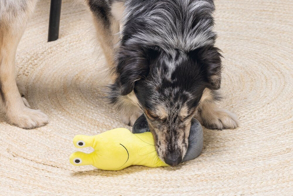 Beeztees Hide and Seek Slak - Snuffelmat - Hondenspeelgoed - 5x10.5x72 cm