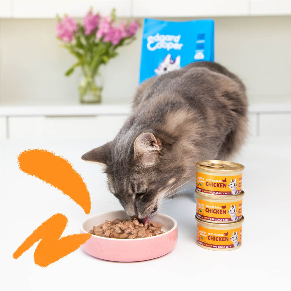 Edgard & Cooper Multipack Stukjes in saus - Kattenvoer - 8x85 gram - Kip - Lam - 680 gram
