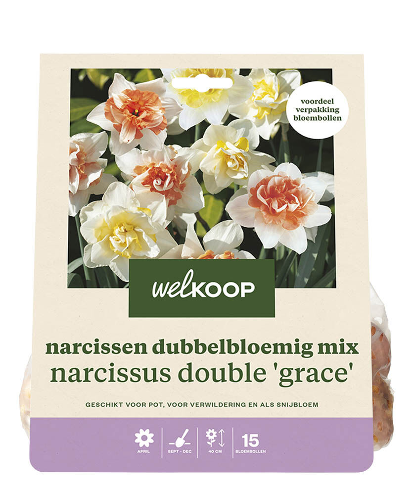 Welkoop Narcissen mix Nova Lily - Bloembollen Welkoop Narcissen mix Nova Lily - Bloembollen