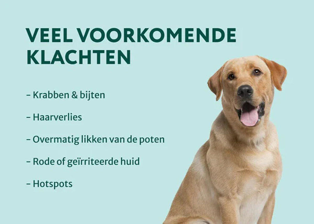 Dogsuppy Anti-Jeuk Spray - Probiotica - 250