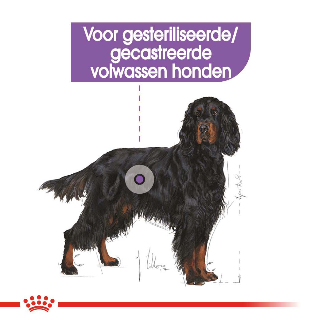 Royal Canin Sterilised Maxi  Adult - Hondenvoer - 12 - gevogelte