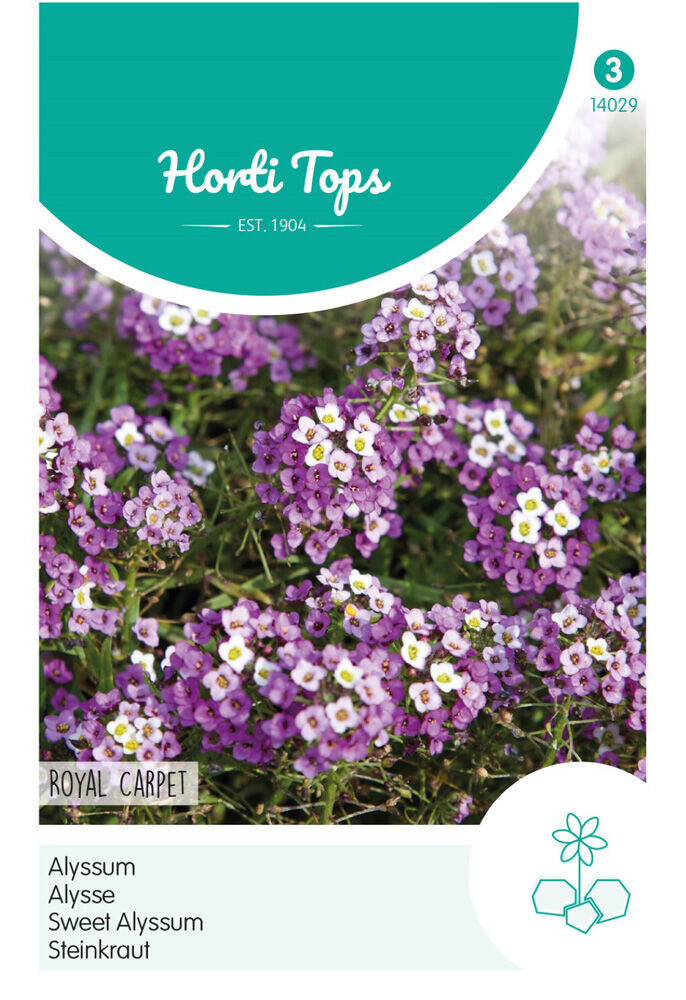 Hortitops Alyssum Royal Carpet - Bloemzaden Hortitops Alyssum Royal Carpet - Bloemzaden