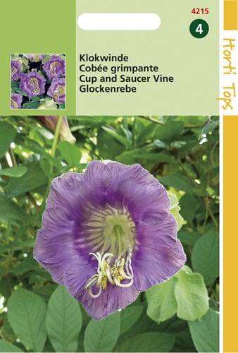 Hortitops Klokwinde - Bloemzaden Hortitops Klokwinde - Bloemzaden