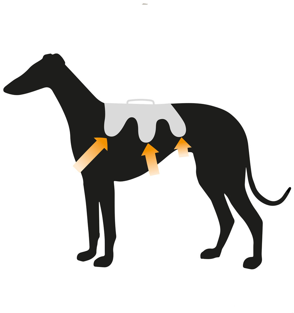 Ferplast Ergotrekking - Borsttuig - Hond - zwart - Small - 20 cm