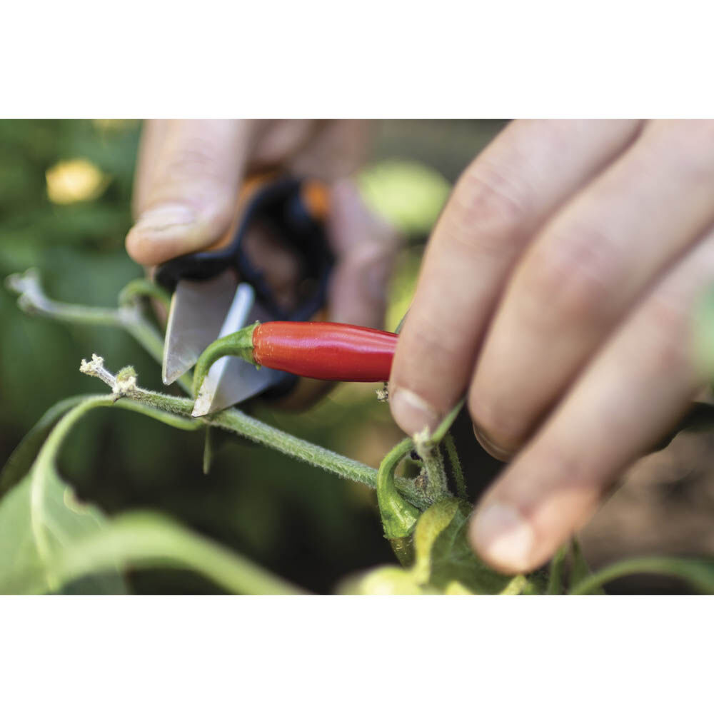 Fiskars SOLID SP-220 - Kruidenschaar