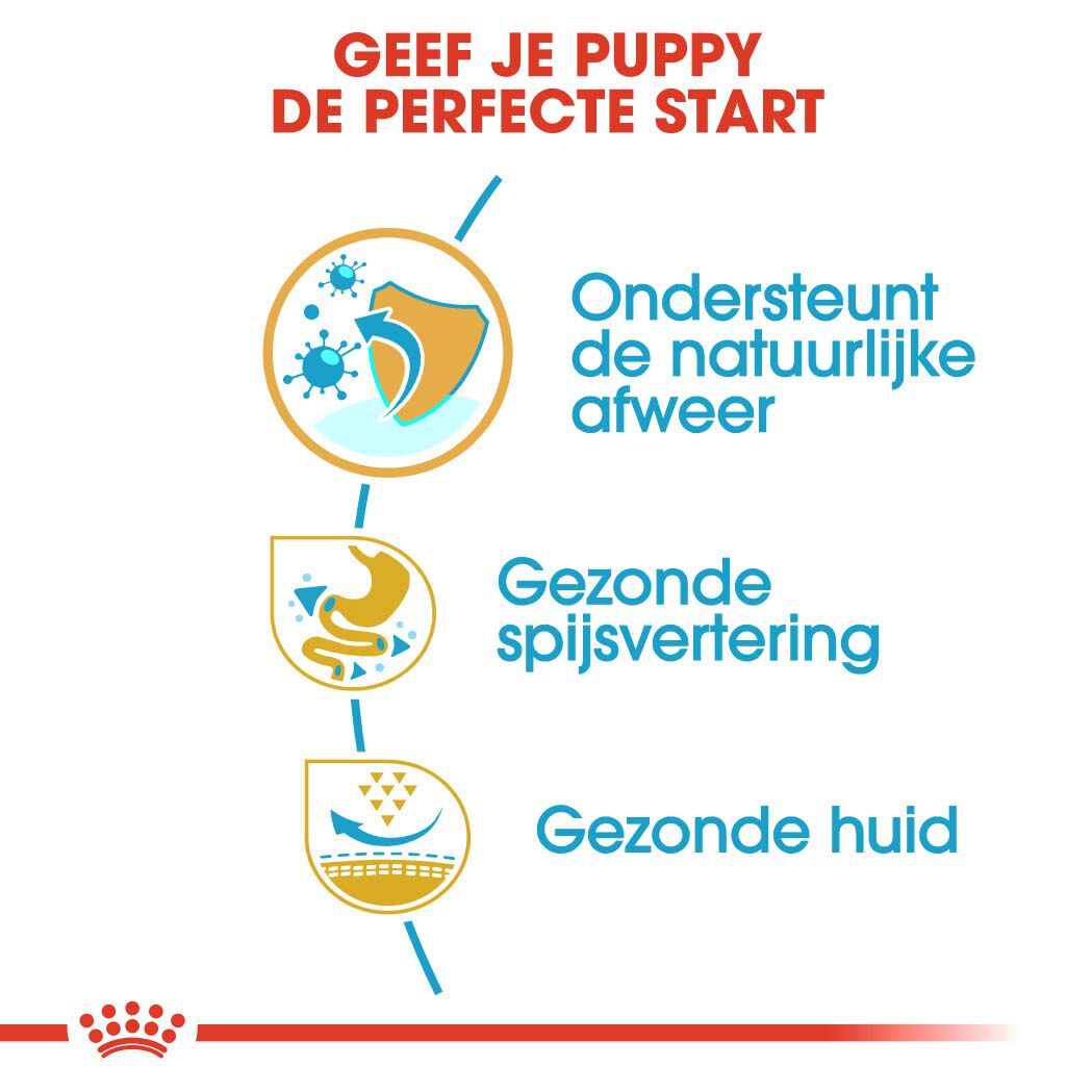Royal Canin Franse Bulldog Puppy - Hondenvoer - 3 - gevogelte