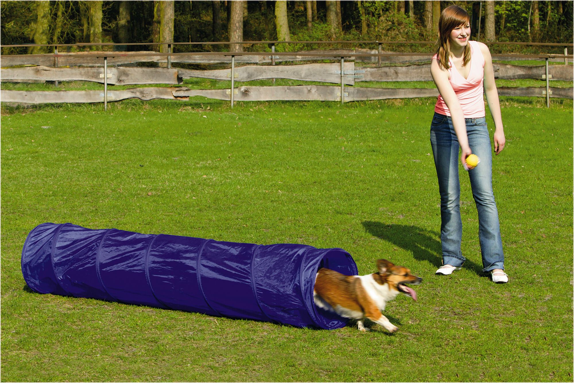 Beeztees Agility Tunnel - Sporten met je hond - 198x40x40 cm