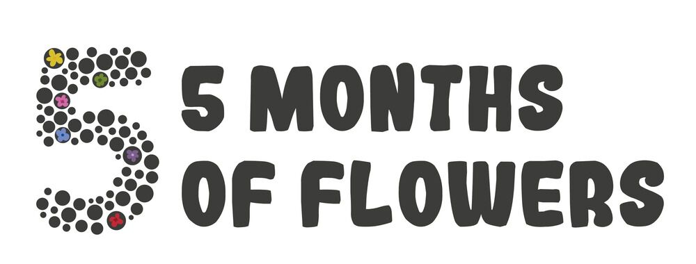 Florex Bloembollen mix - 5 maanden bloemen - in Kistje