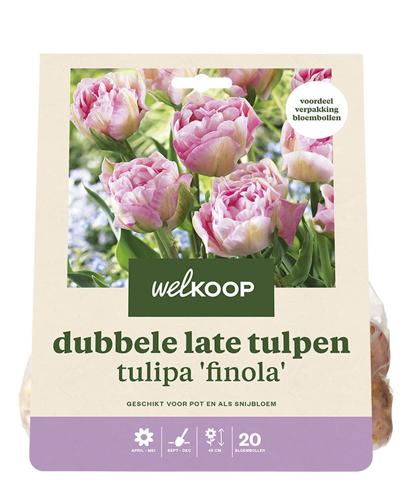 Welkoop Dubbele Tulp Lizzy - Bloembollen Welkoop Dubbele Tulp Lizzy - Bloembollen