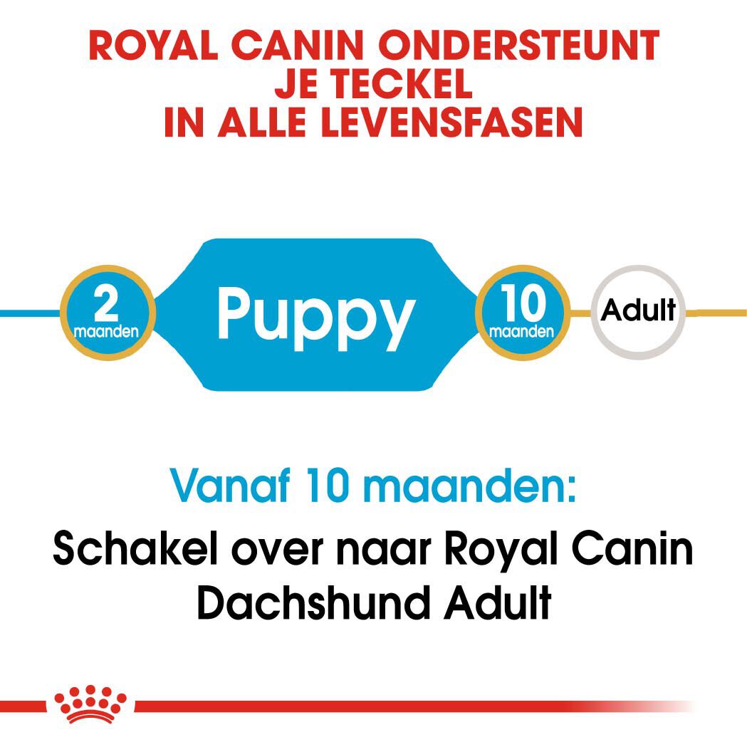 Royal Canin BHN Dachshund Puppy - Hondenvoer - 1500 - gevogelte