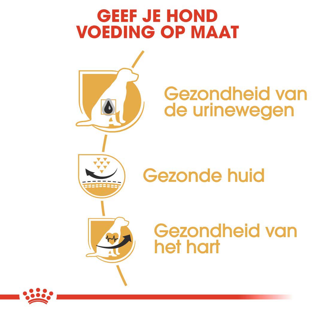 Royal Canin Dalmatian  Adult - Hondenvoer - 12 - gevogelte