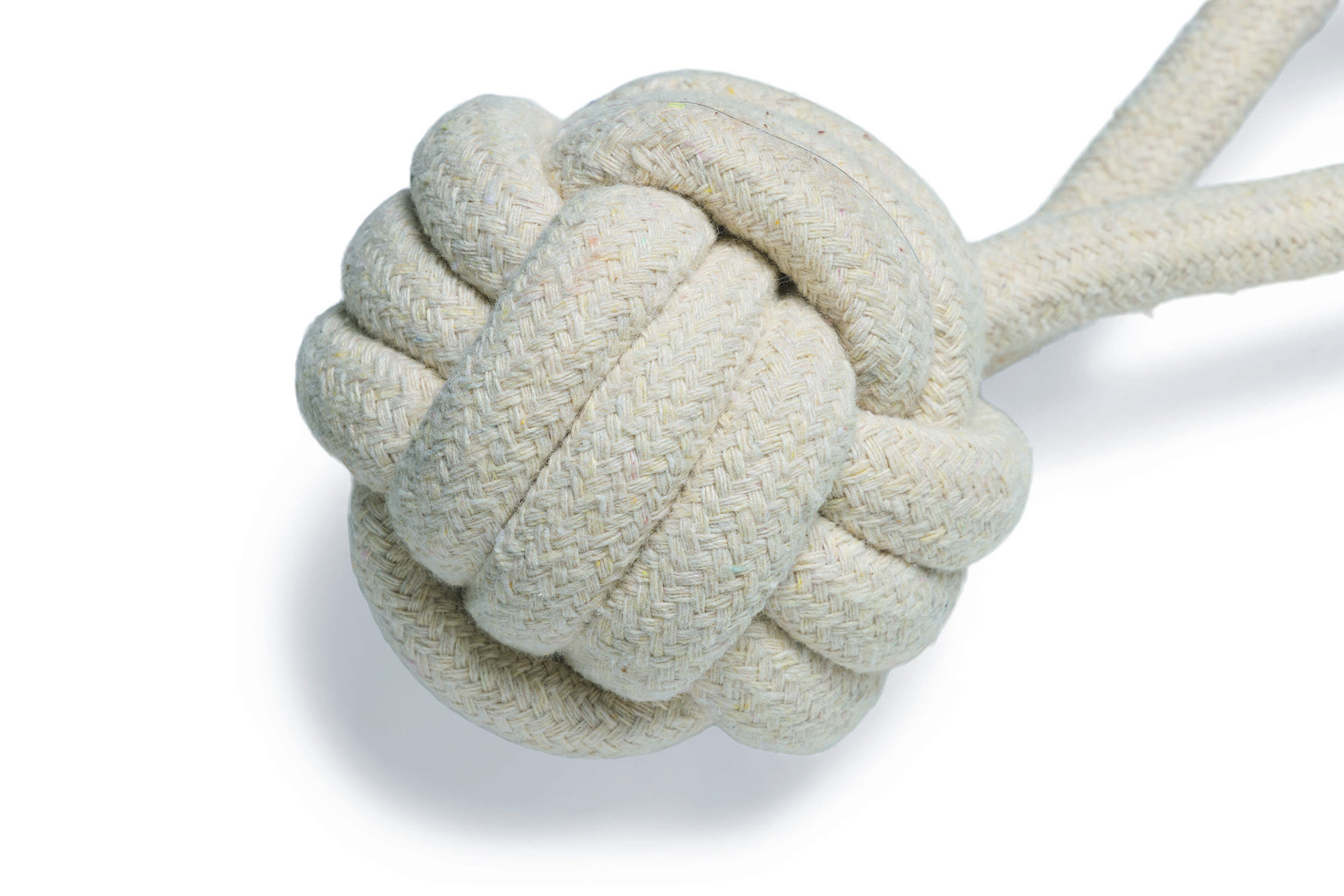 Beeztees Slingertouw - Apporteren - Hondenspeelgoed - Diverse kleuren - 26x10x10 cm - L