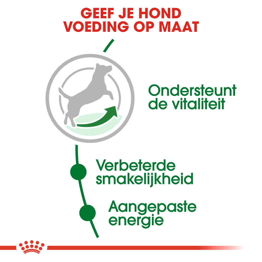 Royal Canin Mini Adult 8+ - Hondenvoer - 12 - gevogelte