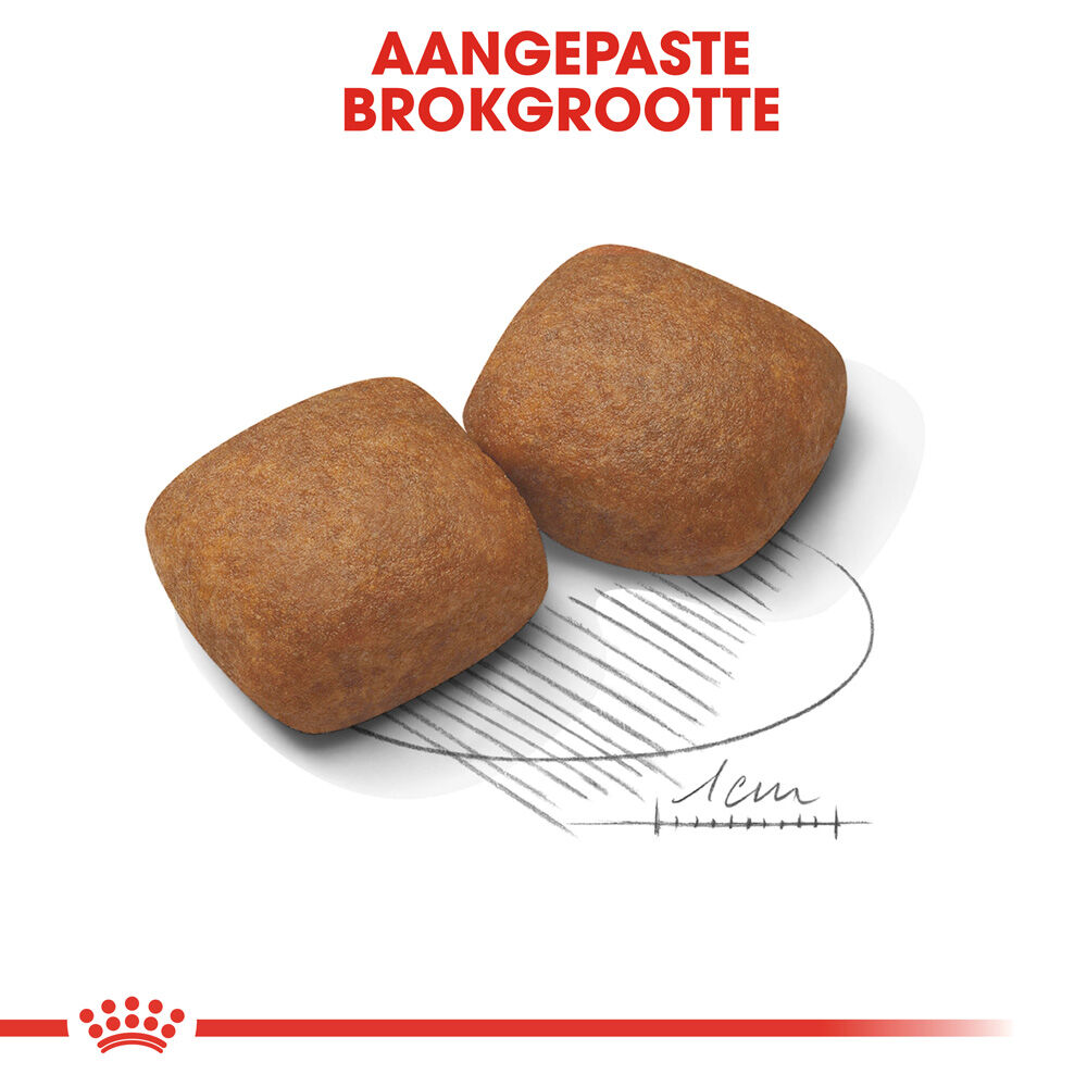 Royal Canin SHN Giant Junior - Hondenvoer - 15 - gevogelte