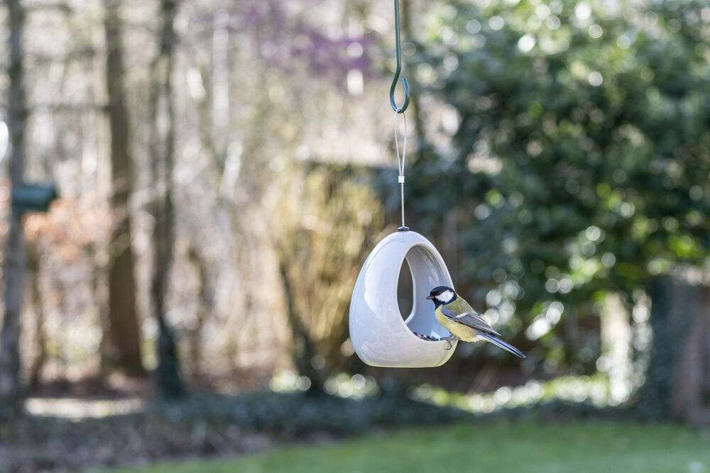 CJ Wildbird Foods Fiesta Diner - Voederhuis - 15x11.5x11.5 cm