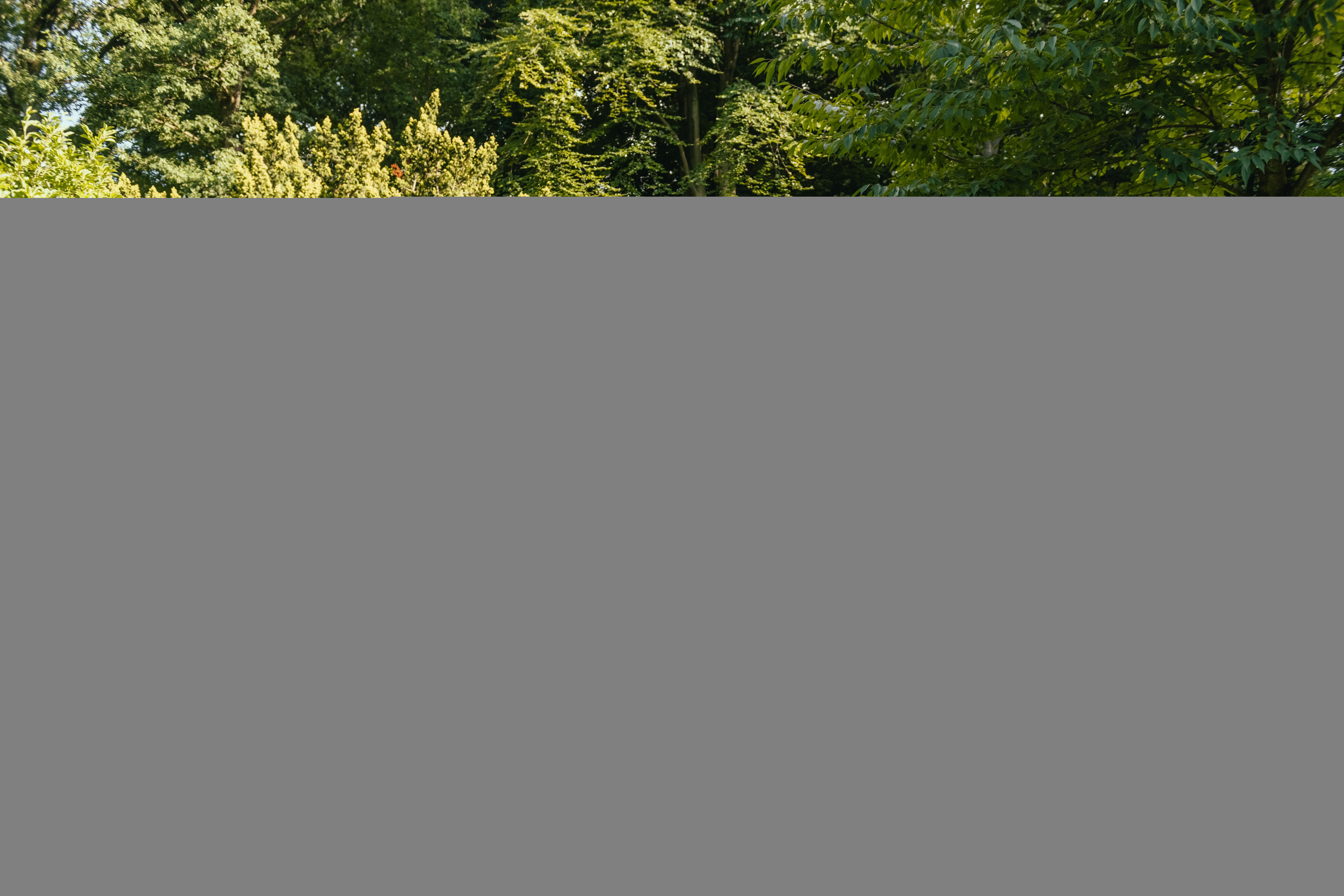 Nestera Penthouse - Kippenhok - tot 8 kippen - 117.00 cm - Zwart/Groen - 91.00 cm - L - 80.00 cm
