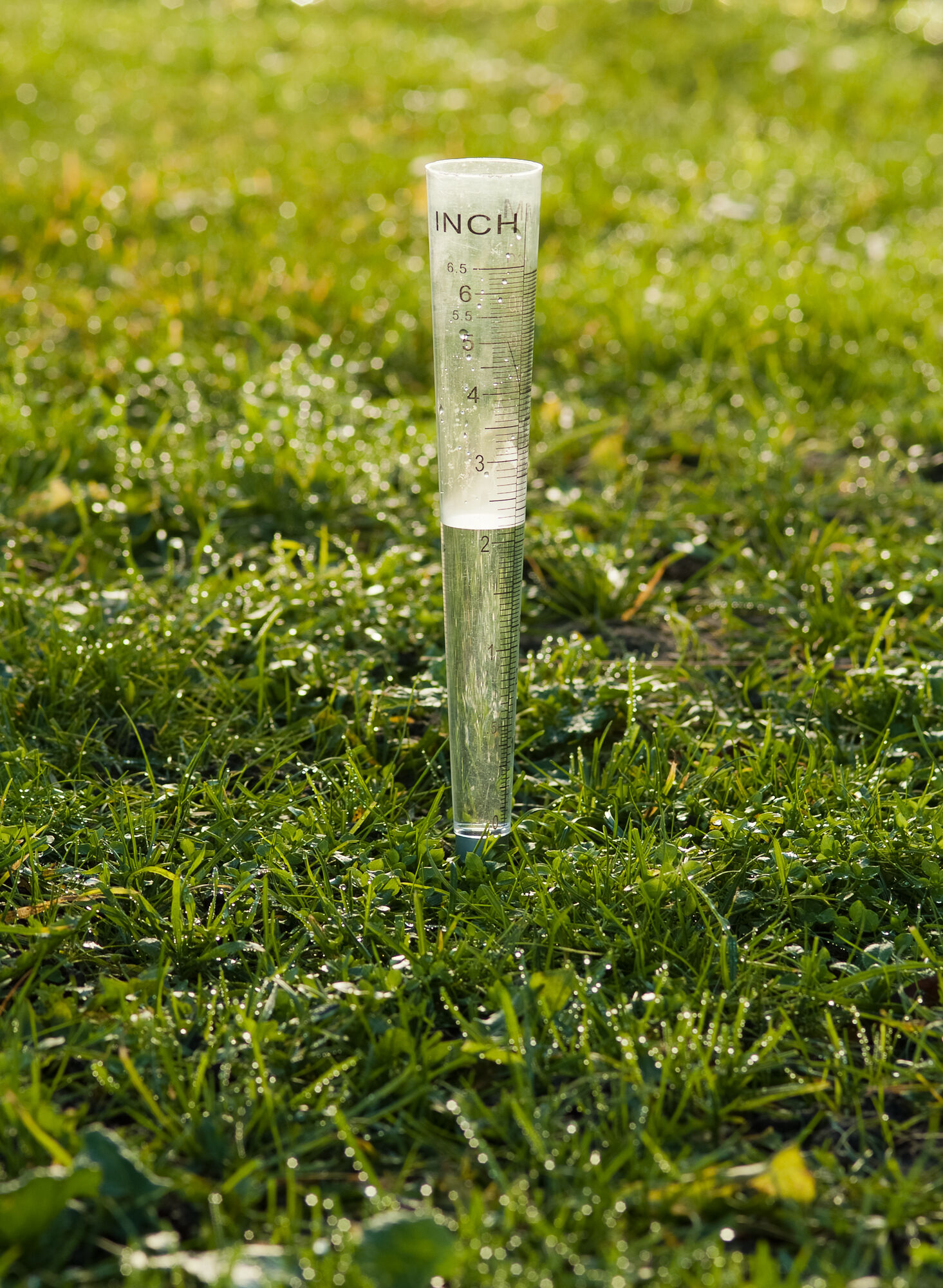 Nature Regenmeter V-model - Regen- en Thermometers Nature Regenmeter V-model - Regen- en Thermometers