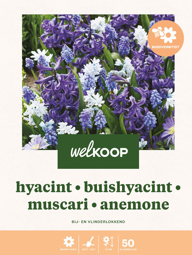 Welkoop Hyacint Blauwe druifjes Anemone Biodiversiteit - Bloembollen Welkoop Hyacint Blauwe druifjes Anemone Biodiversiteit - Bloembollen