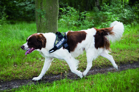 Julius K9 - Hondentuig - groen/grijs - Maat 2 - 96 cm