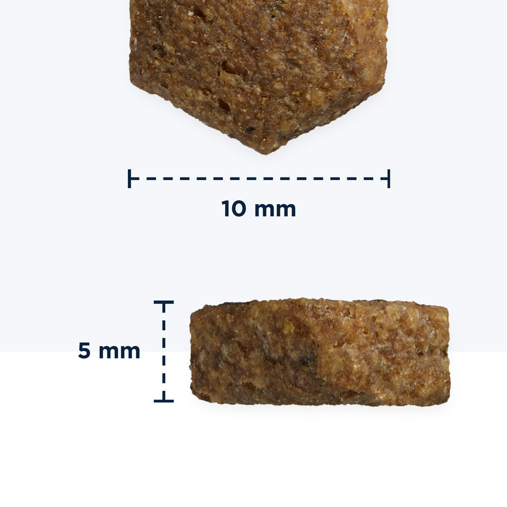 Eukanuba Graanvrij Puppy Small/Medium - Hondenvoer - Vis - 12 kg