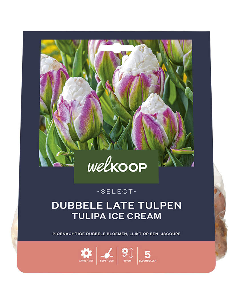 Welkoop Select Dubbele Tulp Lidy - Bloembollen Welkoop Select Dubbele Tulp Lidy - Bloembollen