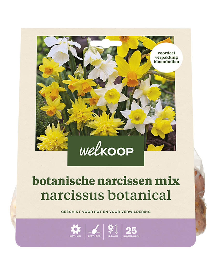 Welkoop Narcis Marjan - Bloembollen Welkoop Narcis Marjan - Bloembollen