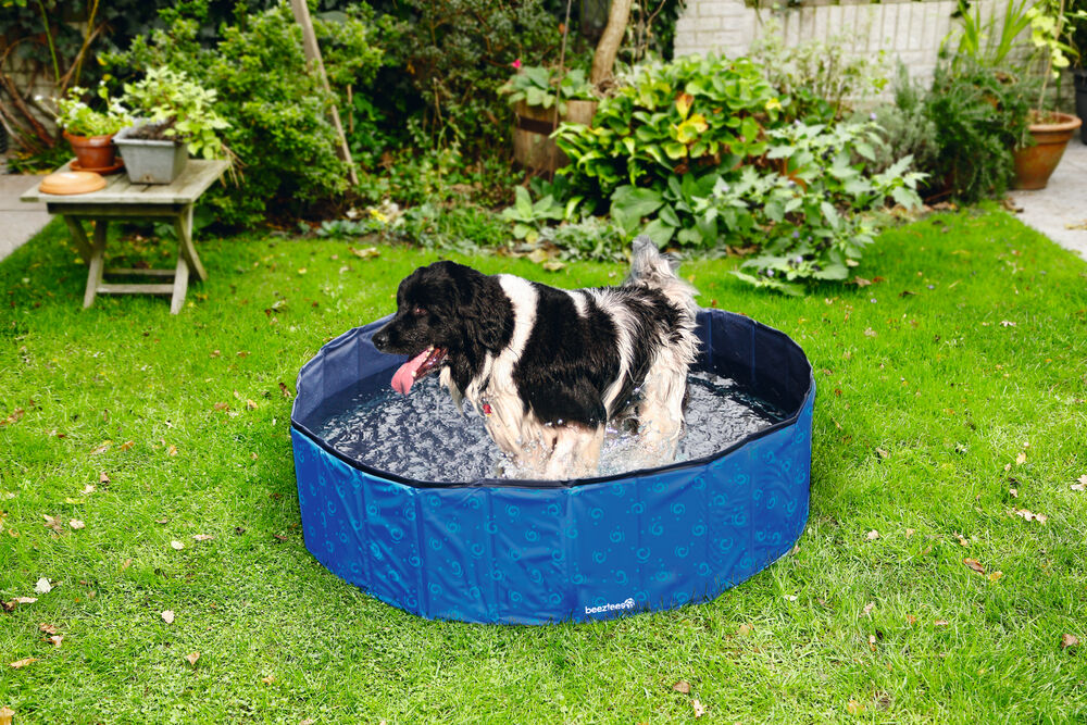 Beeztees - Hondenzwembad -Waterspeelgoed - blauw - 20x80x19.3 cm - S