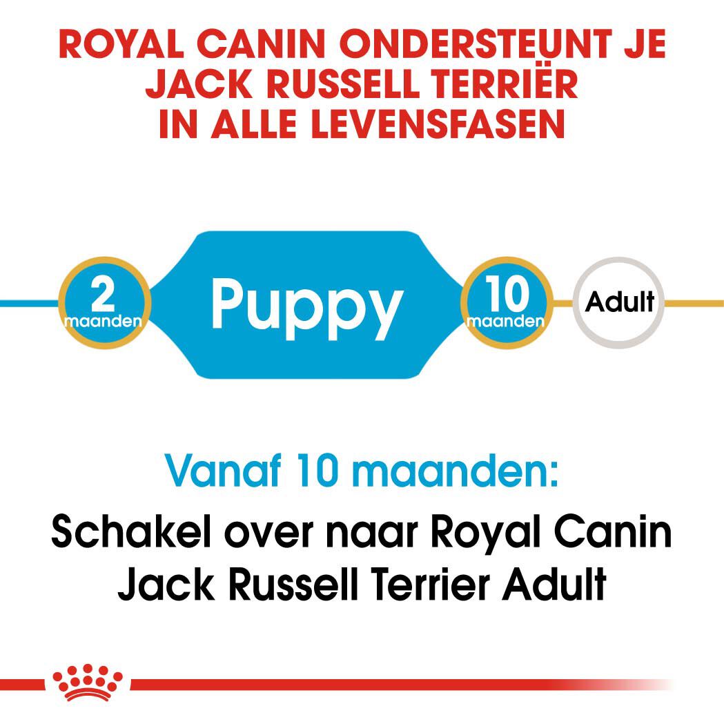 Royal Canin Jack Russell Terrier Junior - Hondenvoer - 1.5 - gevogelte