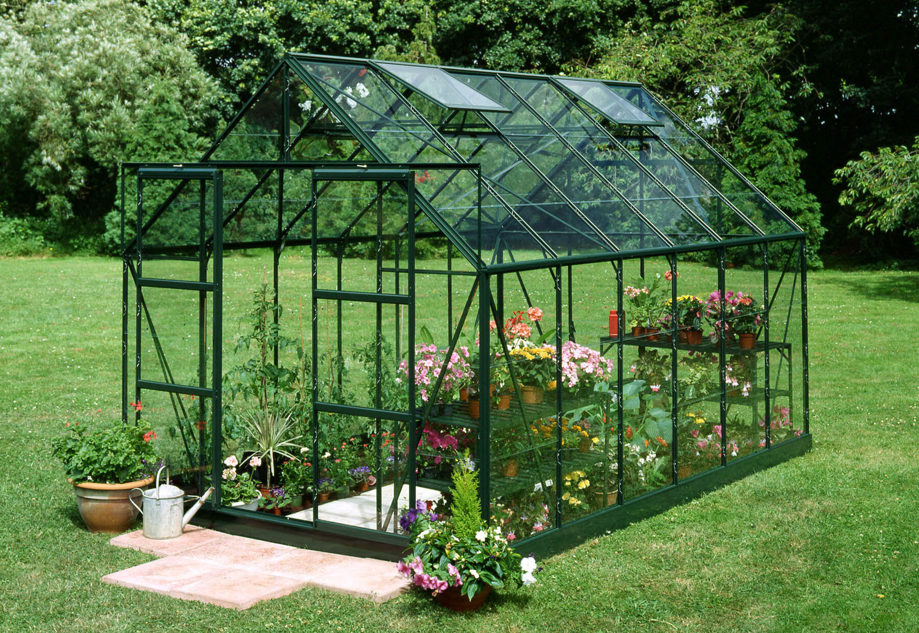 Halls Magnum 128 - Tuinkas - 258.00 cm - Groen - Veiligheidsglas - 257.00 cm - 384.00 cm