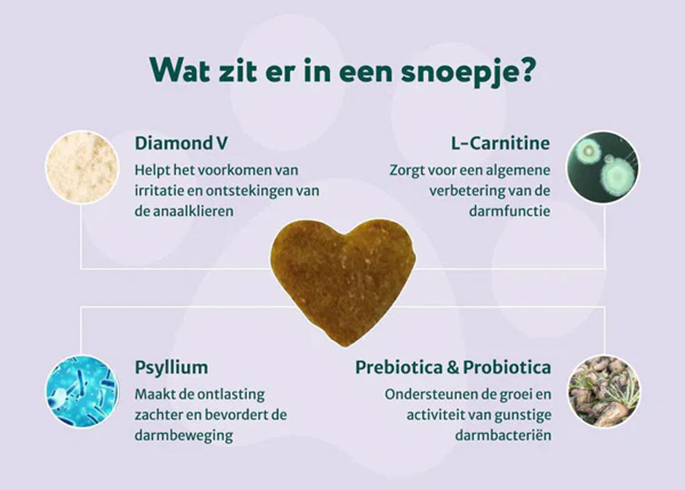 Dogsuppy Anti-anaalklieren - Probiotica