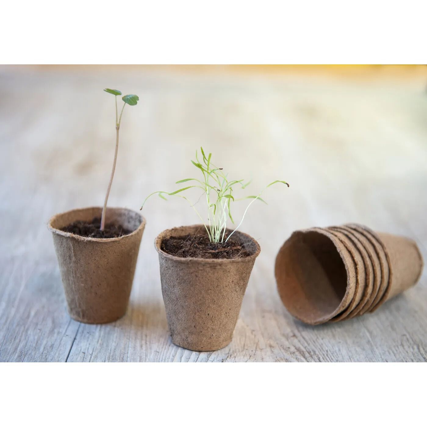Nature - Turfpotjes - 24 Stuks - 25.50 cm - 6.20 cm - 25.50 cm