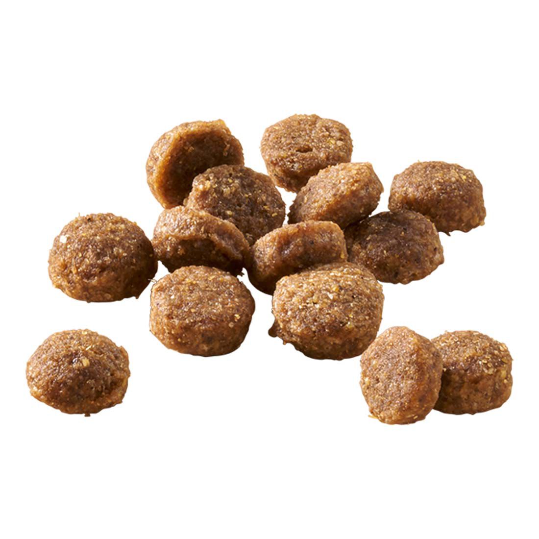 Welkoop Mini Krokante brokken - Hondenvoer - 1.5 - rund