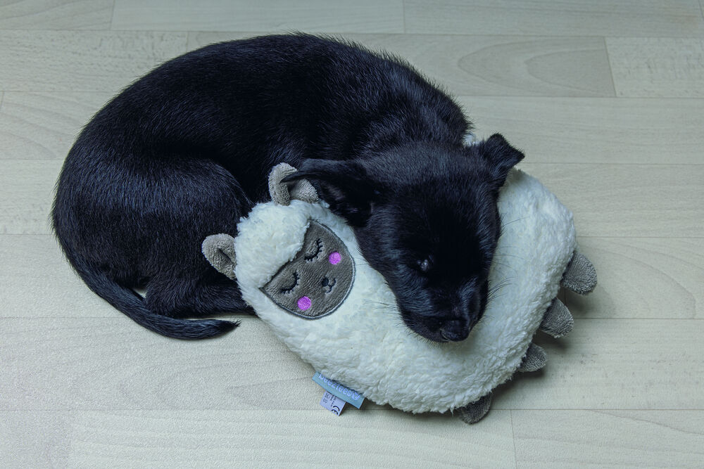 Beeztees Lama - Knuffel - Puppy speelgoed - wit - 7.5x20x20 cm