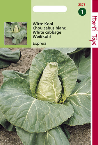 Hortitops Spitskool Brassica oleracea Express, Vroege Spitse - Groentezaden Hortitops Spitskool Brassica oleracea Express, Vroege Spitse - Groentezaden