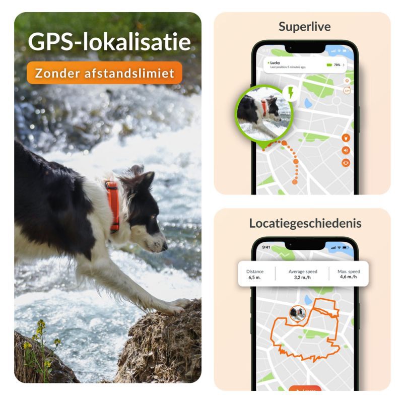 Weenect XT - Halsband met GPS tracker