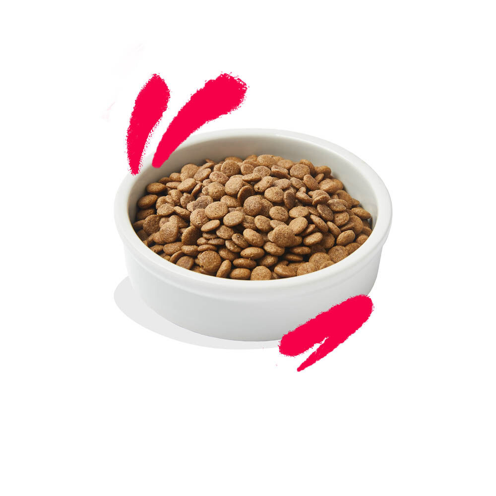 Edgard & Cooper Senior Brokjes - Kattenvoer - Kip - Kalkoen - 2 kg