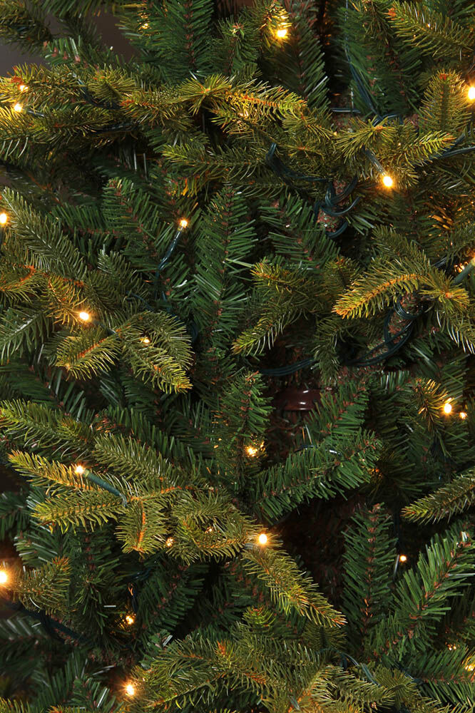 Black Box Trees Frasier - Kunstkerstboom - 480 - 230 cm - Groen