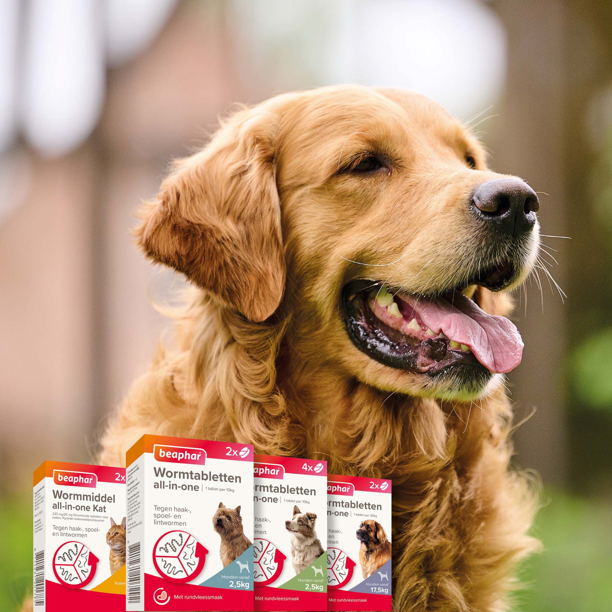 Beaphar All-in-one Tabletten - Ontwormen Hond - M/L